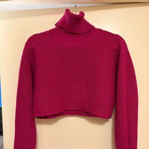 House of Harlow Cropped Turtleneck Sweater